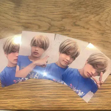 한다 타츠오미 시크레 포토 카드