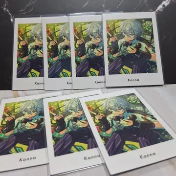 앙스타 칸나 파샤츠 7점