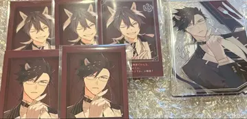 오토후유 포토 카드 하니브 엘리야 세트