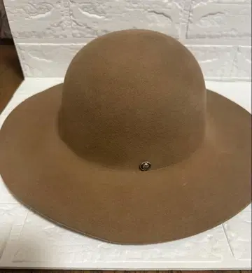 ginger and sprout 울 햇