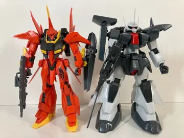 HG 2체 세트