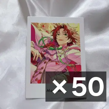 앙스타 파샤츠 마오