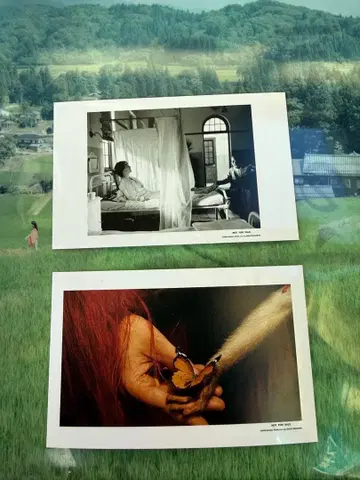 낙하의 왕국 입장 혜택 2종