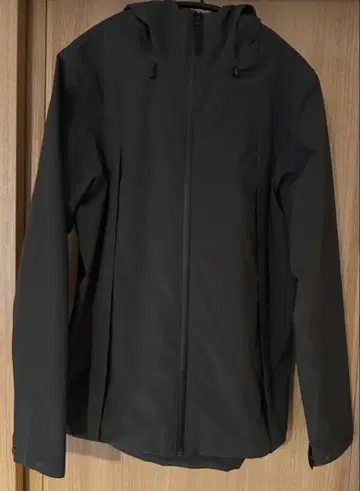 patagonia 마운틴 후드티