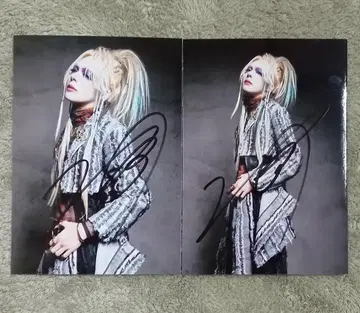 나방과 나비 영 아티스트 사진