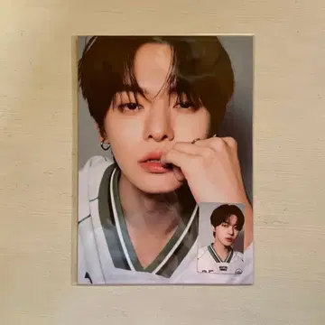 보이플라 엑스포 A4 사진 세트 리오