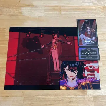 니지페스 2025 특별 혜택 빅 카드 사진 티켓 복스 아쿠마