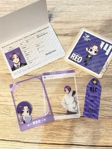 블루 록 미카게 레오 묶음 판매