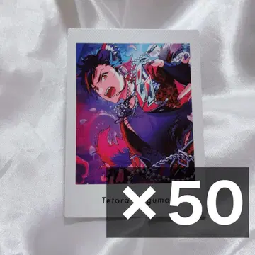 앙스타 파샤츠 테토라