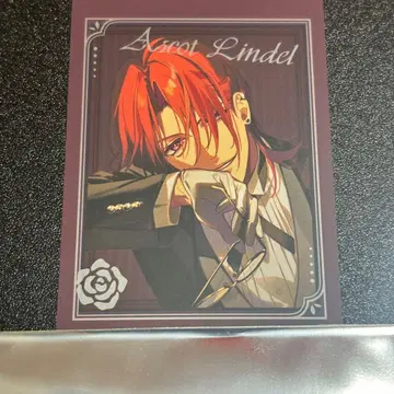 미스트니아의 날개 희망 오토메이트 마켓 미니 포토 카드 서명 애스콧