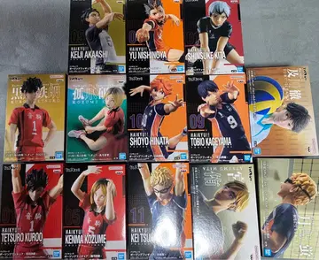 하이큐!! 13체 피규어 세트