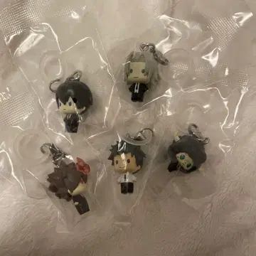 가정교사 히트맨 REBORN! 메지루시 액세서리 5세트 리본