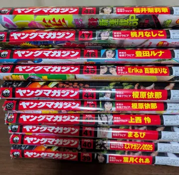 영 매거진 [ 39~48호 ]