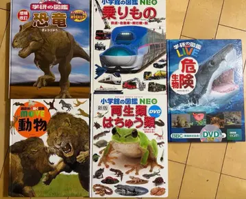 아동 도감 5권 세트