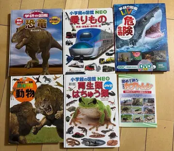 아동 도감 5권 세트 덤 포함