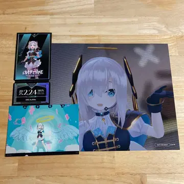 니지 페스 2025 혜택 빅 카드 사진 티켓 아르스 알마르