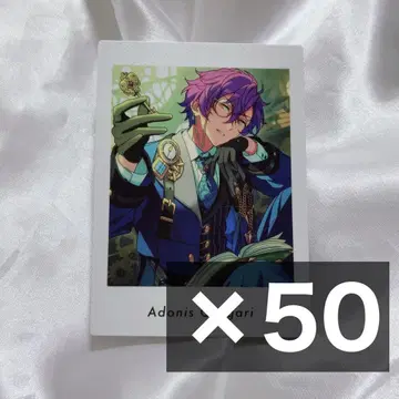 앙스타 파샤츠 아도니스