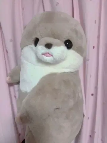 오타리아 봉제 인형 약 55-60cm