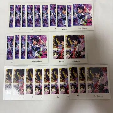 앙스타 파샤츠 레이 린츠