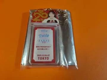 백조 사렌 AKB48 스페셜 복권 티켓 홀더풍 일본 무도관