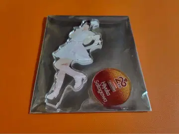 사카가와 히카루 AKB48 SPECIAL 복권 아크릴 스탠드 일본 무도관