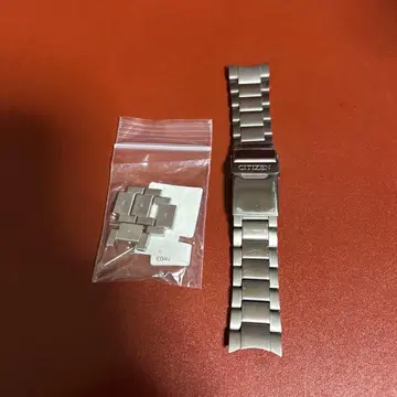 CITIZEN 시계 티타늄 벨트 22mm
