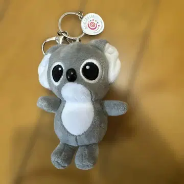 호주 코알라 키링 엑스포 2025 코코짱