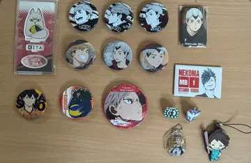 하이큐 캔뱃지 스트랩 마그넷 아크릴 스탠드 키링 학교 휘장 배지