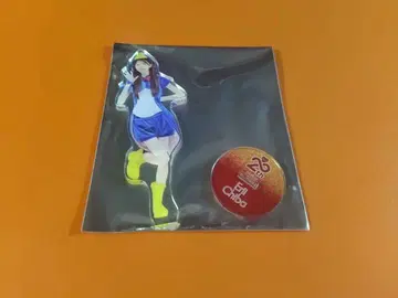 치바 에리 AKB48 SPECIAL 복권 아크릴 스탠드 일본 무도관