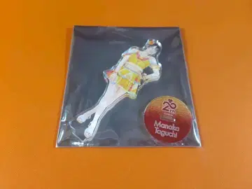 다구치 마나카 AKB48 SPECIAL 복권 아크릴 스탠드 일본 무도관