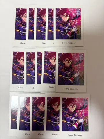 앙스타 파샤츳 이바라