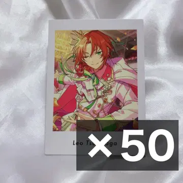 앙스타 파샤츠 레오