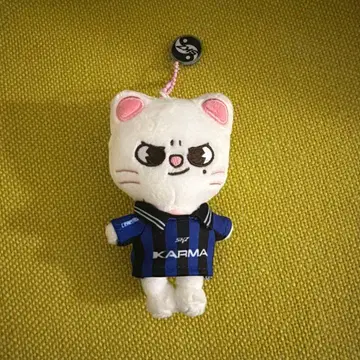 straykids KARMASKZOO ver 지니레트