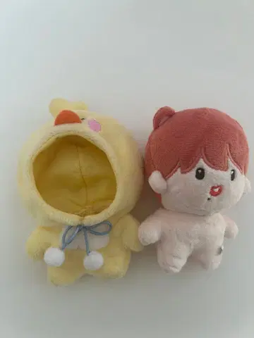 nctdream 지성 봉제 인형