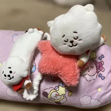 BT21 캐릭터 통나무 쿠션과 굿즈 세트