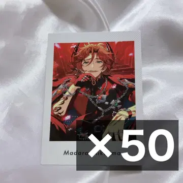 앙스타 파샤츠 마다라