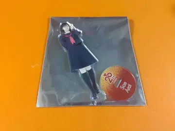 아라이 나에 AKB48 SPECIAL 복권 아크릴 스탠드 일본 무도관