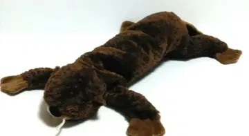 프린세스 소프트토이 랏코 2001 헤이세이 레트로 봉제 인형