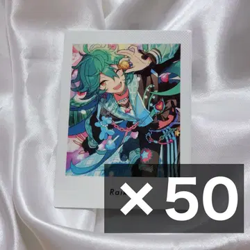 앙스타 파샤츠 라이카