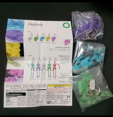 iSkeletons 캡슐 토이 3종 세트