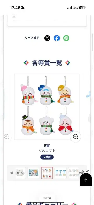 치이카와 에니마이 복권 봉제 인형 키링 E상 전 종류 세트