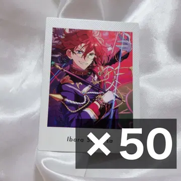 앙스타 파샤츠 이바라