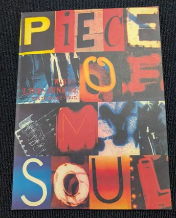 WANDS 라이브 팜플렛 티켓 반권 1995년 당시 물품