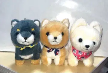 콩 시바 삼형제 봉제 인형 마스코트 일본의 와 사스케 마메지로 마메타로