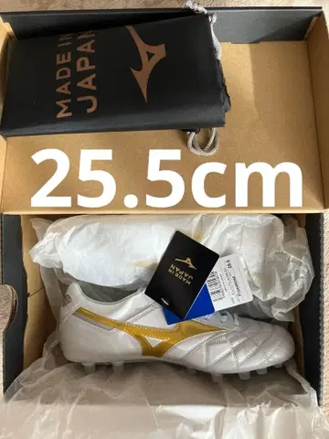 모렐리아2 JAPAN AG 25.5cm