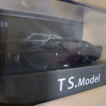 T.S.Model KPGC110 보라색