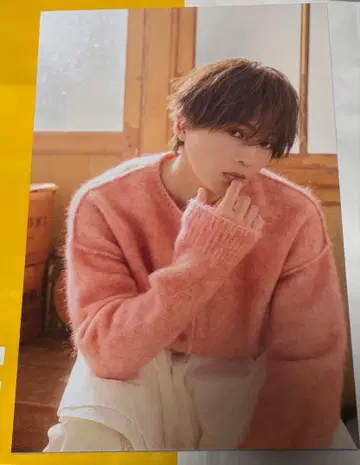 야기 유세이 패널