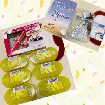 기린 FIRE 역사를 바꾼 비행기들 미스 비들호 블루 임펄스