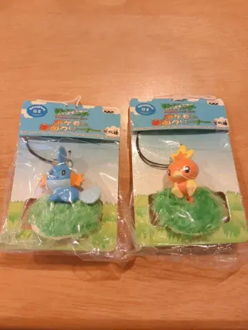 포켓몬 화면 클리너 아차모 물짱이 세트