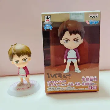 하이큐!! 프라이스 치비큥 캐릭터 우시지마 와카토시